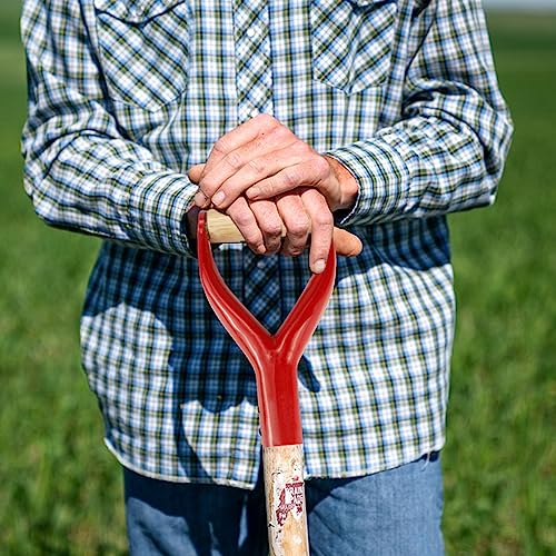 Shovel Y Grip Handle 3.1cm Inner Diameter Metal Shovel Replacement Handles Garden Accessories Handles with Wooden Grip for Digging Raking Tool （Red） Color 3