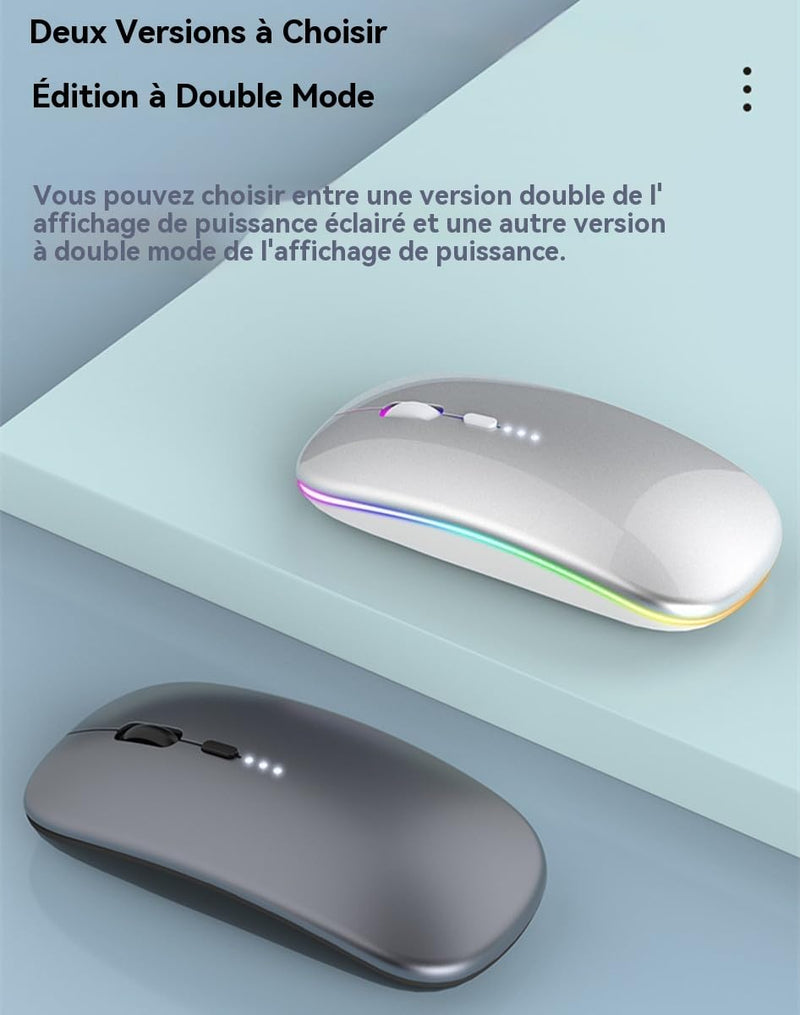 Rechargeable Wireless Mouse, Silent Bluetooth Mouse Silver | Supports Bluetooth 5.2 and 2.4G dual-mode, ergonomic design with LED indicator - portable, for Laptop, Desktop & Tablet