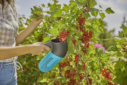 GARDENA combisystem Berry Picker: harvester with integrated basket for collecting berries, rotating attachment for berries or fruit, integrated handle, small feet for standing (17400-20) Single