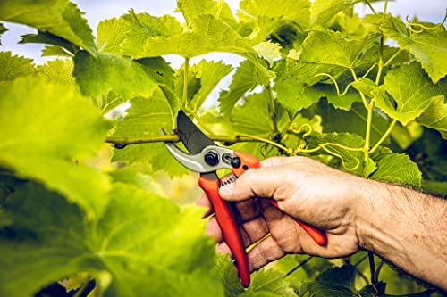 Original LÖWE Bypass Pruner Garden Tools 14.104 | Use as Pruners, Hedge Trimmer, Garden Shears, Pruning Shears for Gardening | For cutting roses, twigs, branches, and cut flowers | Made in Germany Classic