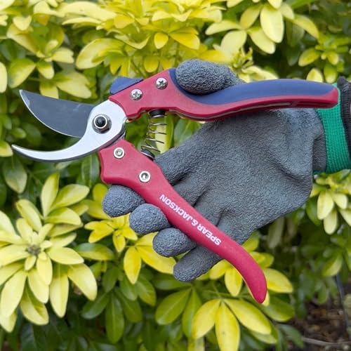 Spear & Jackson Razorsharp Bypass Pruning Shears, SK5 Carbon Steel Blades, Coated for Corrosion Resistance, Ergonomic Handles for Comfortable Use Bypass Pruner