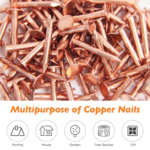 Copper Nails – 1 Inch Roofing Nails 110pcs – 99.95% Pure Copper Nails for Roof, Copper Flashing, Tree, Stump Remover, Roots, Landscaping & Crafts 1" Copper Nails, 110pcs