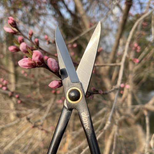 8 Inch Full-Steel Forged, Bonsai Small Branch Shears for Delicate Shoots and Leaves
