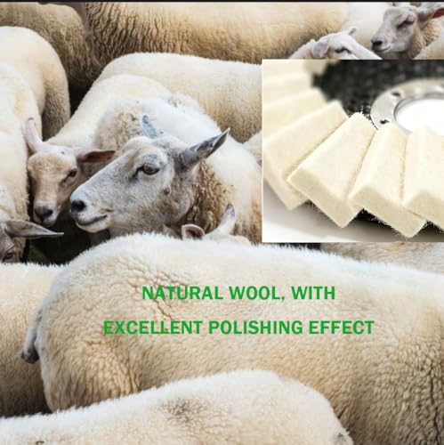 12PCS Wool Felt Polishing Wheel & Compound Kit for Angle Grinder
