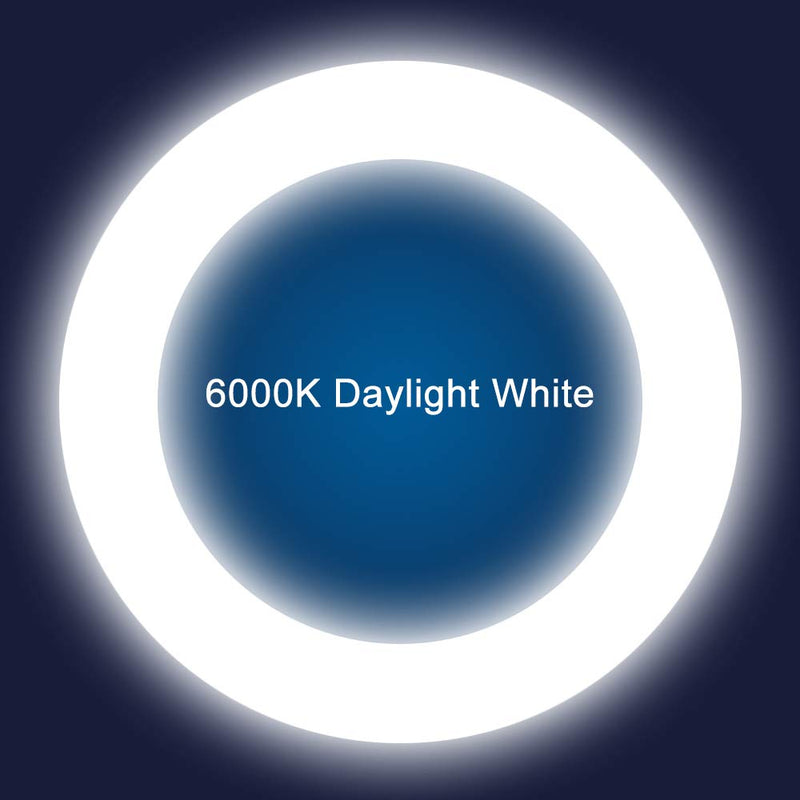 T9 LED Circline Light Bulb, 8 Inch 1600LM LED Circular Light, 13W Clear Cover 6000K Daylight Replacement for FC8T9/CW 22-Watt Fluorescent Circular Bulb(FC8T9/CW), Ballast Bypass Required 8inch 6000k Clear 1 Count (Pack of 1)