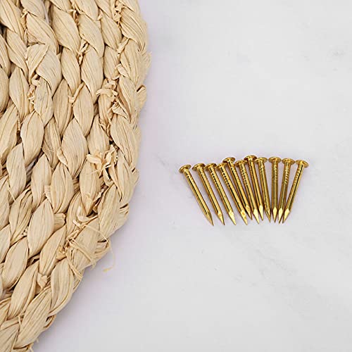 HEEPDD 100Pcs Brass Escutcheon Tacks, 22mm Length Round Head Brad Nails 22mm Length Thicker