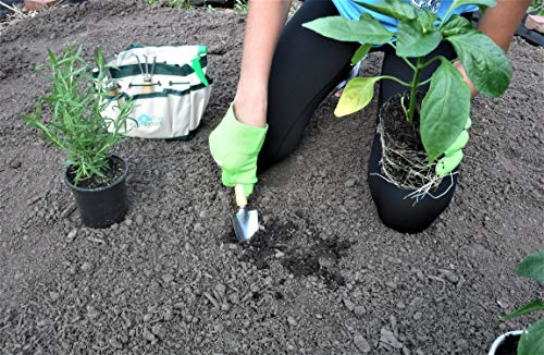 Garden Tool Kit for Young Gardeners