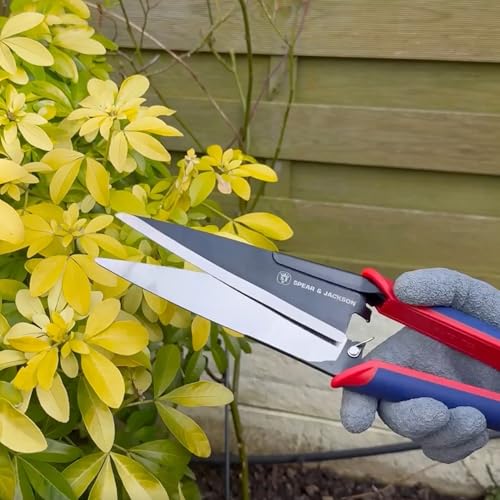 Spear & Jackson Razorsharp Topiary Shears – Precision Garden Shears for Pruning, Shaping, and Trimming Plants Classic