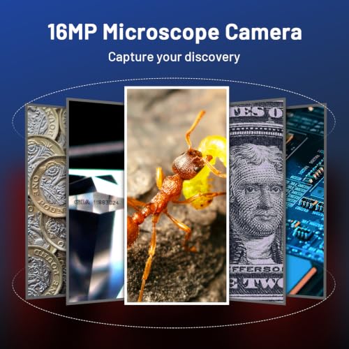 TOMLOV P10 Microscope for Adults Kids, Handheld Coin Magnifier with Light Black