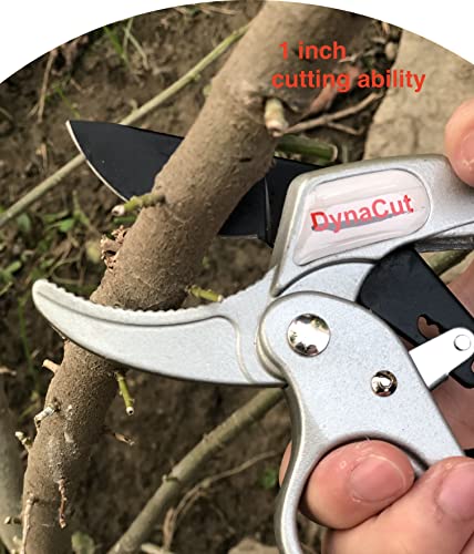 Ratcheting Pruning Shears Gardening Heavy Duty 8'', Professional Ratchet Pruning Scissors Cutter Anvil Clippers - Tree Trimmers Up To 20mm Cutting Capacity, Soft Non-Slip Grip Reduce Hand Fatigue