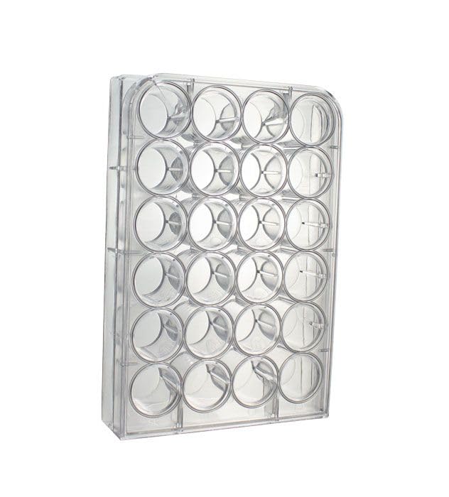 United Scientific™ F1004 Non-Sterile Polystyrene Well Pate | 24 Wells | Desinged for Laboratory, Classroom, or Home Use | Pack of 10