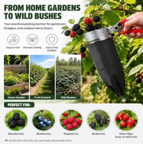 Blackberry picker, berry quick picking tool, fruit picking equipment with razor to avoid thorns in the bushes from hurting your skin