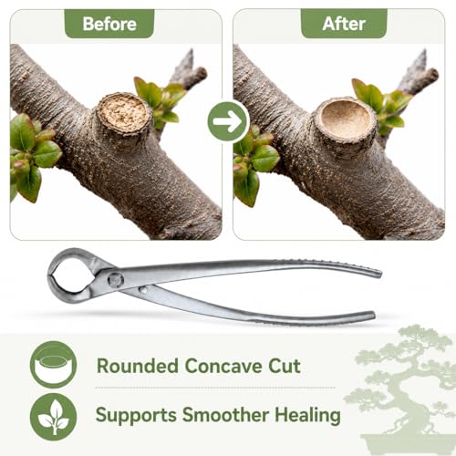 Knob Cutter Bonsai Tools 8.3" (210mm)