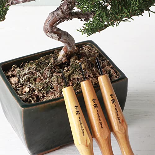 Wazakura 3PCS Bonsai Chisel Kit with Round Gouge, Single Bevel Skewed and V-Parting Tool, Hand Carving Tool Set for Jin Shari Making, Woodworking Knife Pack - Mini Size L6.22× W2.13× H0.71inch