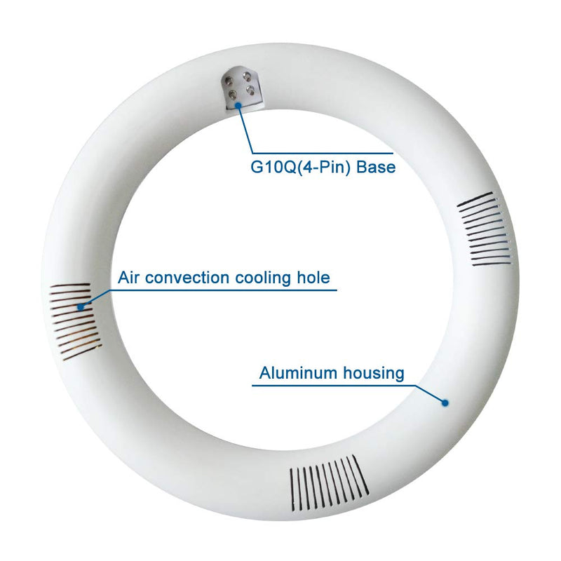 T9 LED Circline Light Bulb, 8 Inch 1600LM LED Circular Light, 13W Clear Cover 6000K Daylight Replacement for FC8T9/CW 22-Watt Fluorescent Circular Bulb(FC8T9/CW), Ballast Bypass Required 8inch 6000k Clear 1 Count (Pack of 1)