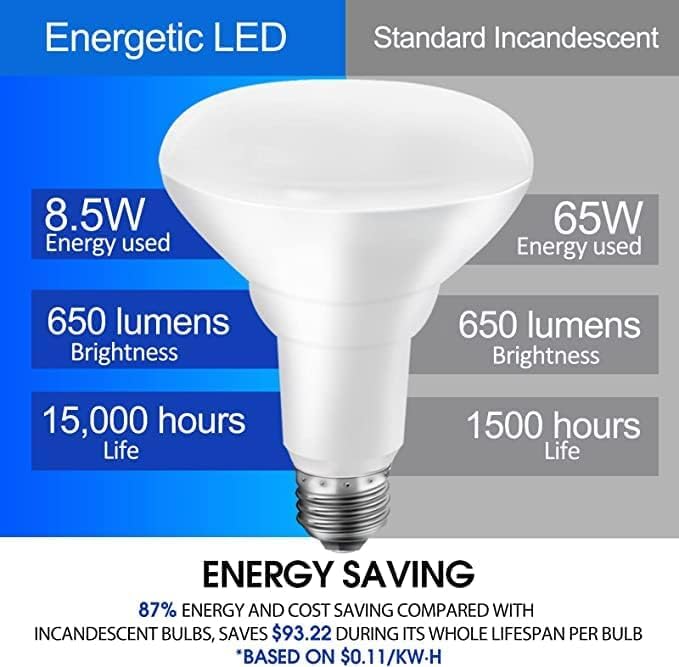 Energetic LED Flood Light Bulbs BR30 Indoor, 65W Equivalent, Dimmable, Daylight 5000K, Indoor Flood Lights for Recessed Cans, 12 Pack Daylight 5000k 65w 650lm 12 Count (Pack of 1)
