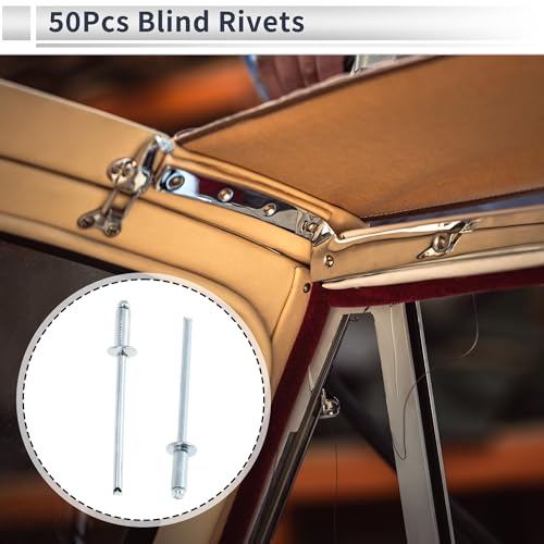 50 Pcs Dome Head Large Flange Blind Rivets 3mm Grip Diameter 8mm Grip Length 6mm Flange Diameter Silver Tone Iron