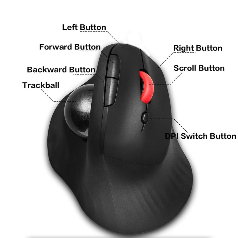 Dual Mode Wireless Vertical Computer Trackball Mouse, Ergonomic Bluetooth Thumb-Control Mouse with Quiet Clicks Ergonomic Design Adjustable CPI ,Built-in 500mAh Battery Rechargeable for PC/Mac/Laptop