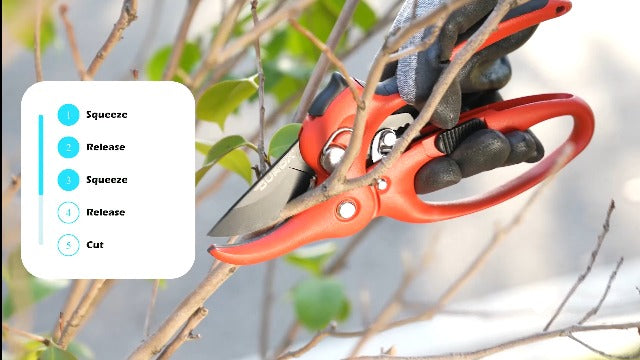 DUROX - Ratchet Pruning Shears, Garden Shears with 3X Cutting Power. Effort-Saving Heavy-Duty Anvil Pruners. Replaceable Blade Cutting Blade Design. Ideal Secateurs for Precise Trimming, Model DGR-01