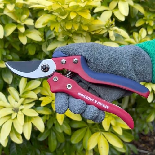 Spear & Jackson Razorsharp Bypass Pruning Shears, SK5 Carbon Steel Blades, Coated for Corrosion Resistance, Ergonomic Handles for Comfortable Use Bypass Pruner