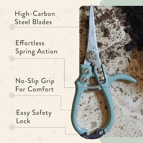 Modern Sprout Hand Pruners+Shears Set w/Blister - Gardening Tools - Sage