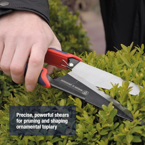 Spear & Jackson Razorsharp Topiary Shears – Precision Garden Shears for Pruning, Shaping, and Trimming Plants Classic