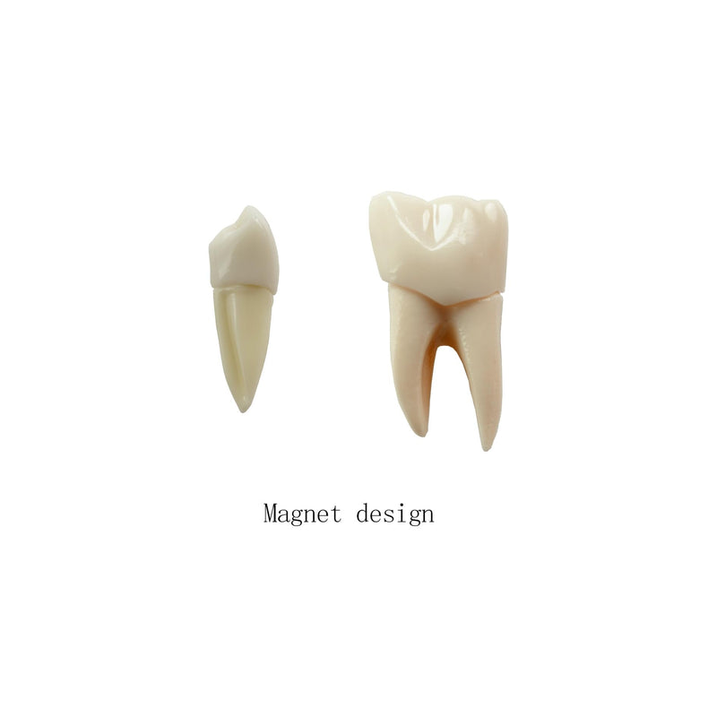 4X Dental Implant Demo Model | removable crown, bridge, tooth root, gold-colored base, and blue implant,For Teaching