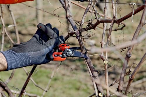 Bahco BAHPXR-M2 ERGO Medium Bypass Pruning Shears, 8" Length, 3/4" Cut Cap