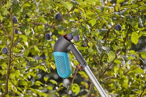 GARDENA combisystem Berry Picker: harvester with integrated basket for collecting berries, rotating attachment for berries or fruit, integrated handle, small feet for standing (17400-20) Single
