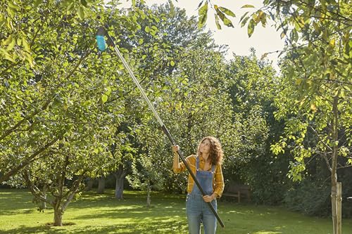 GARDENA combisystem Berry Picker: harvester with integrated basket for collecting berries, rotating attachment for berries or fruit, integrated handle, small feet for standing (17400-20) Single
