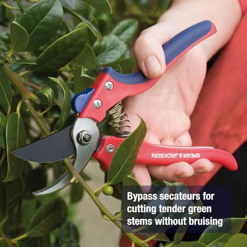Spear & Jackson Razorsharp Bypass Pruning Shears, SK5 Carbon Steel Blades, Coated for Corrosion Resistance, Ergonomic Handles for Comfortable Use Bypass Pruner