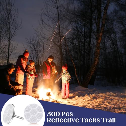 Fullhawl 300 Pcs Reflective Tacks Trail Marking Tacks, Sliver