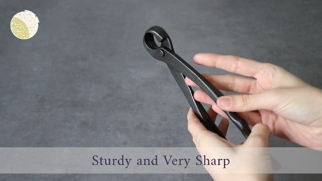Wazakura Hand Forged Knob Bonsai Cutter Made in Japan 8-1/4 inch (210mm), Japanese Gardening Tools, Round Edge Concave Branch Cutter Black