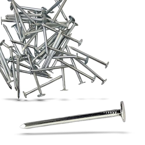 2-Inch Galvanized Roofing Nails Professional Grade - Used to fasten roofing felt, asphalt singles & insulation board (100) 100