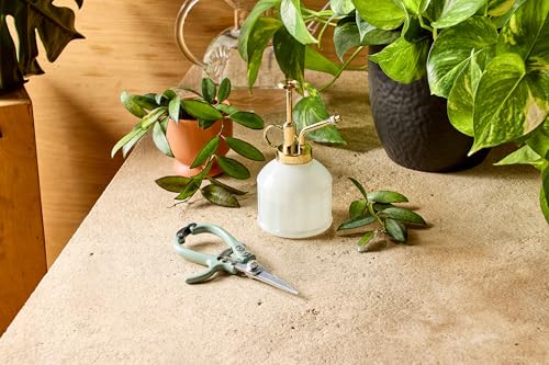 Modern Sprout Botanical Kit - Pruning Shears & Plant Mister - Sage