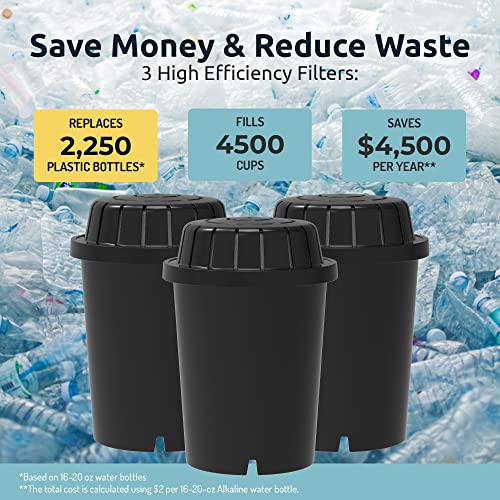 Invigorated Water PH001 Black Alkaline Water Filter Replacement
