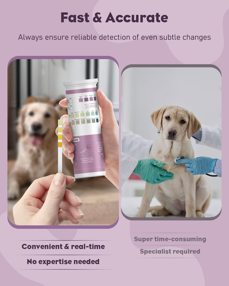 Pawfly Urine Test Strips for Dogs & Cats, 100 Strips, 4 in 1 Pet Urine Testing Strips for Leukocytes, Nitrite, Protein & Blood, UTI Test Strips, Urinalysis Test Strips for Vets