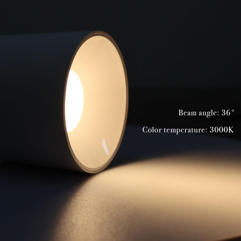 LED Dimmable Ceiling Spotlight Aluminum White 4.72" Cylinder Spot Light Indoor Modern Minimalist Focus Accent Down Light for Cylinder Hallway Kitchen Foyer CRI 98 12W 3000K Round-12W-Dimmable