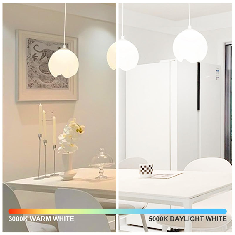 100Watt Equivalent LED Light Bulbs 5000K Daylight, Dimmable A19 LED Light Bulbs 14W 1500LM Bright LED Bulbs with E26 Standard Medium Base for Home Kitchen Bedroom Office Indoor, No Flicker, 16 Packs 5000k Daylight White