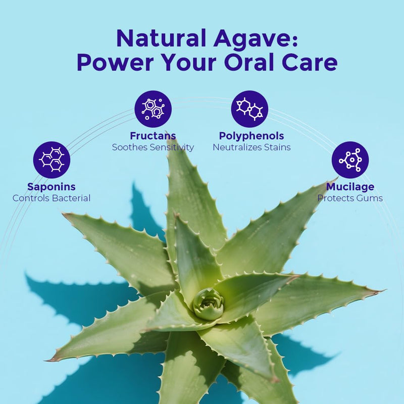 Natural Agave Extract Toothpaste for Sensitive Teeth, Fluoride Free Toothpaste, Remineralizing Gum Care, Gentle Whitening & Fresh Breath, 3.53 Fl Oz 3PK US Manufactured 3.53 Fl Oz (Pack of 3)