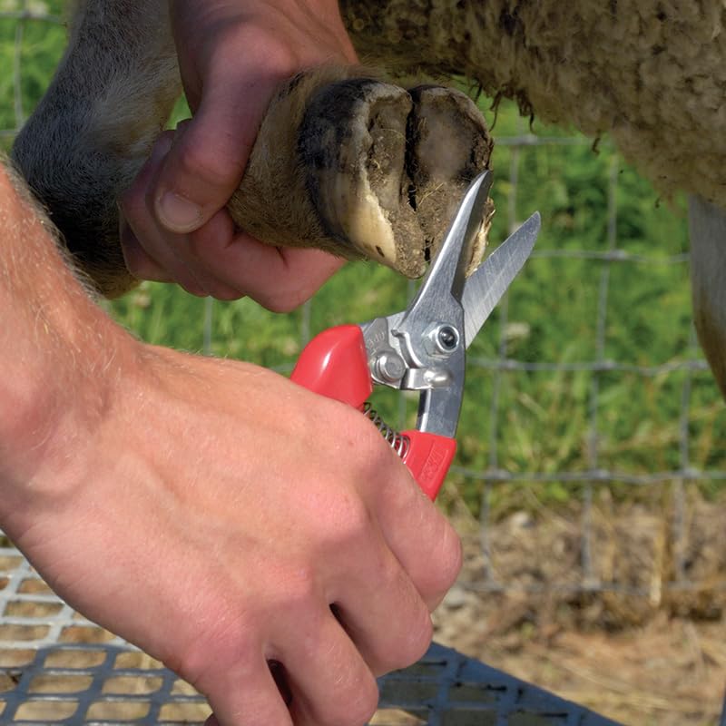 ARS 140DXR Smooth Blade Hoof Trimmer & Garden Pruning Shears 7.5 inches