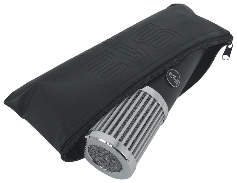 512 Audio by Warm Audio Skylight Large Diaphragm Studio Condenser XLR Microphone + Shock Mount + Bag for Recording and Podcasting