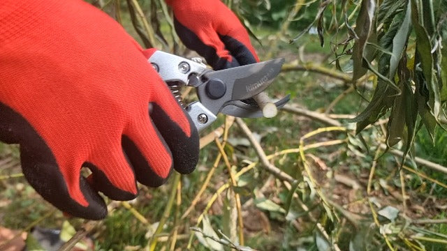 Kimura® 8" Pro Bypass Pruning Shears, Heavy Duty Japanese SK5 Steel Blades, 1 inch Cut Capacity, Non-Slip PVC Coated Handles, Lightweight & Ergonomic, Japanese Pruners, Professional Garden Clippers 8"