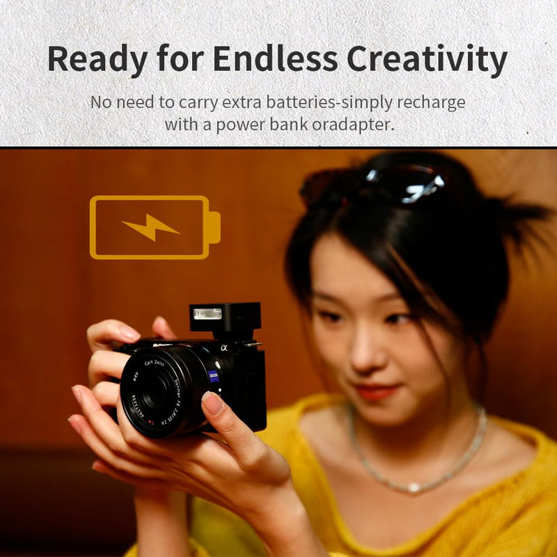 ZF08 Mini Camera Flash Speedlite- On Camera Flash GN16, 5 Power Levels, CCT 6500k ±200k with Universal Hot Shoe Mount ＜3s Fast Recycling for Sony/Canon/Nikon/Panasonic/Olympus(Black,ZF08) ZF08 Black