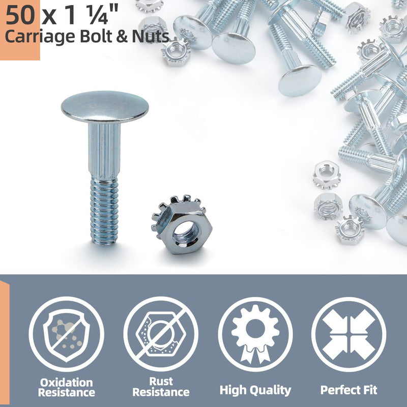 50 Pack 1 1/4" Carriage Bolt & Nut Kit for Overhead Todco Whiting Door Hinge Morgan Supreme Box Truck Trailer Roll Up Door Repair Parts Bolts
