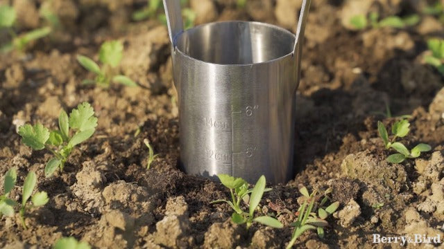 Garden Bulb Planter with 6 inches Depth Mark, Bulb Transplanter 14.3in Bulb Planter