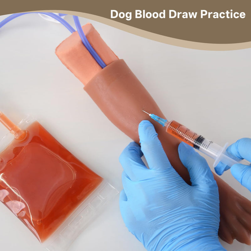 Canine IV Blood Draw & Catheterization Leg – Veterinary Dog IV Practice Kit for Students, Veterinarians, and Training