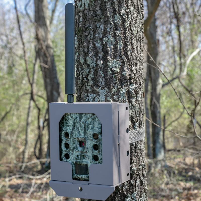 Bushnell Trail Camera Security Box Cellular Game Cameras One Size