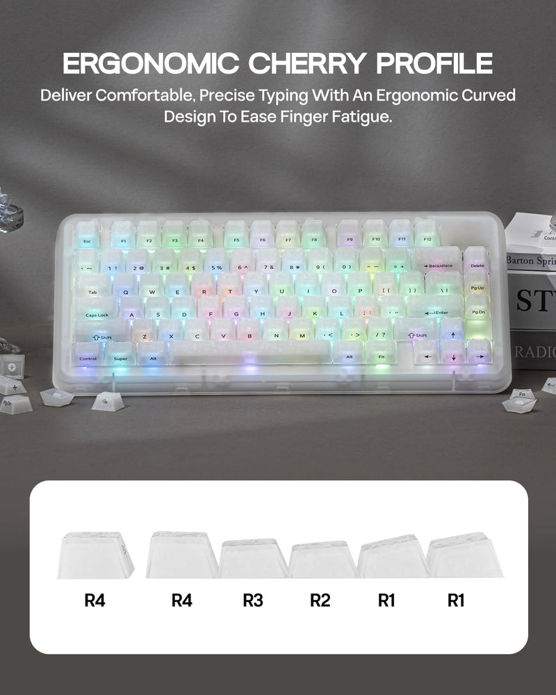 EPOMAKER Frost Jelly Keycaps Set, 126 Keys Forged Carbon Fiber Keycaps | Cherry Profile, ABS+PC, MX-Style Compatible for 61/68/84/87/98/100/104/108 ANSI Layout Mechanical Gaming Keyboards (White) White