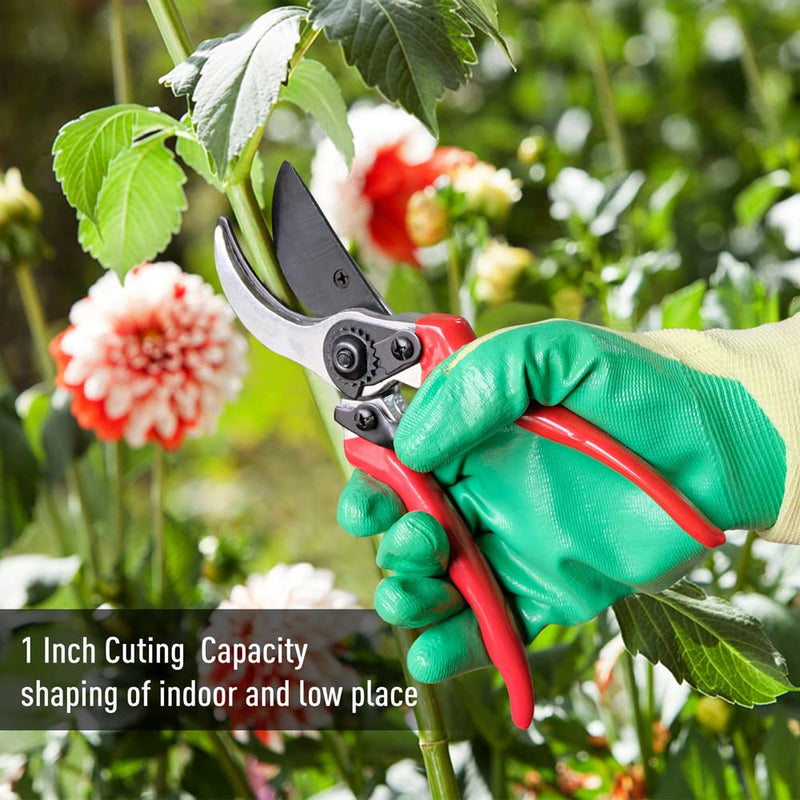 Altdorff Cut and Hold Pruner Set, Lightweight 32-Inch Long Reach Pruner One-Handed Operation, Hold Long Reach Cut Rotating, 8.3" Hand Pruner for Branch Pruning, Fruit Picking, Prickly Plants & Roses Modern